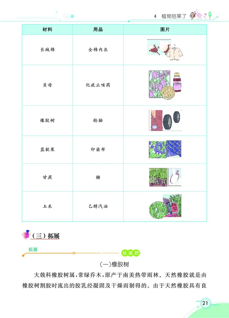 《七彩课堂》科学3年级下册（苏教版）_三年级上下册资料_小学三年级学习资料-25年更新版_3-10、小学三年级科学下册_苏教版_电子册类