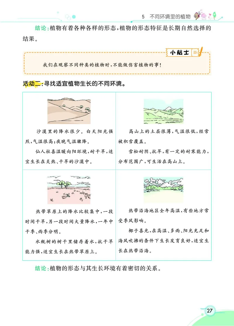 《七彩课堂》科学3年级下册（苏教版）_三年级上下册资料_小学三年级学习资料-25年更新版_3-10、小学三年级科学下册_苏教版_电子册类