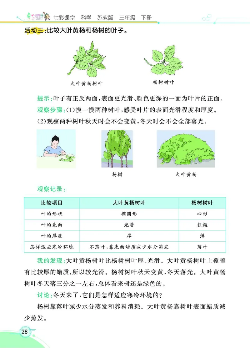 《七彩课堂》科学3年级下册（苏教版）_三年级上下册资料_小学三年级学习资料-25年更新版_3-10、小学三年级科学下册_苏教版_电子册类