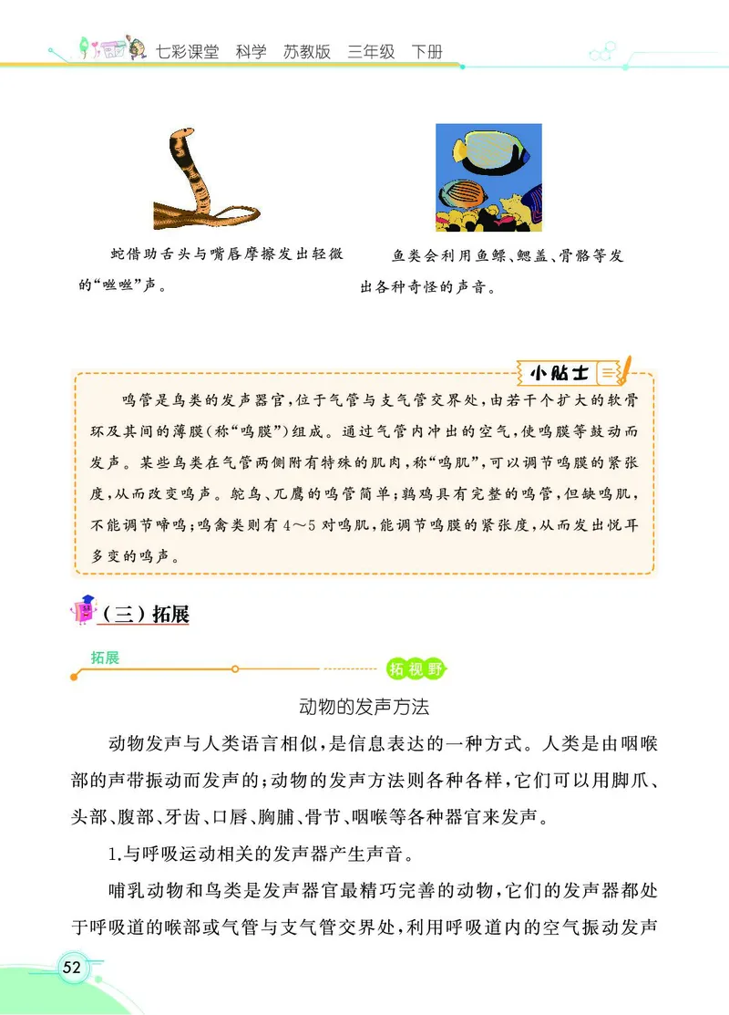 《七彩课堂》科学3年级下册（苏教版）_三年级上下册资料_小学三年级学习资料-25年更新版_3-10、小学三年级科学下册_苏教版_电子册类