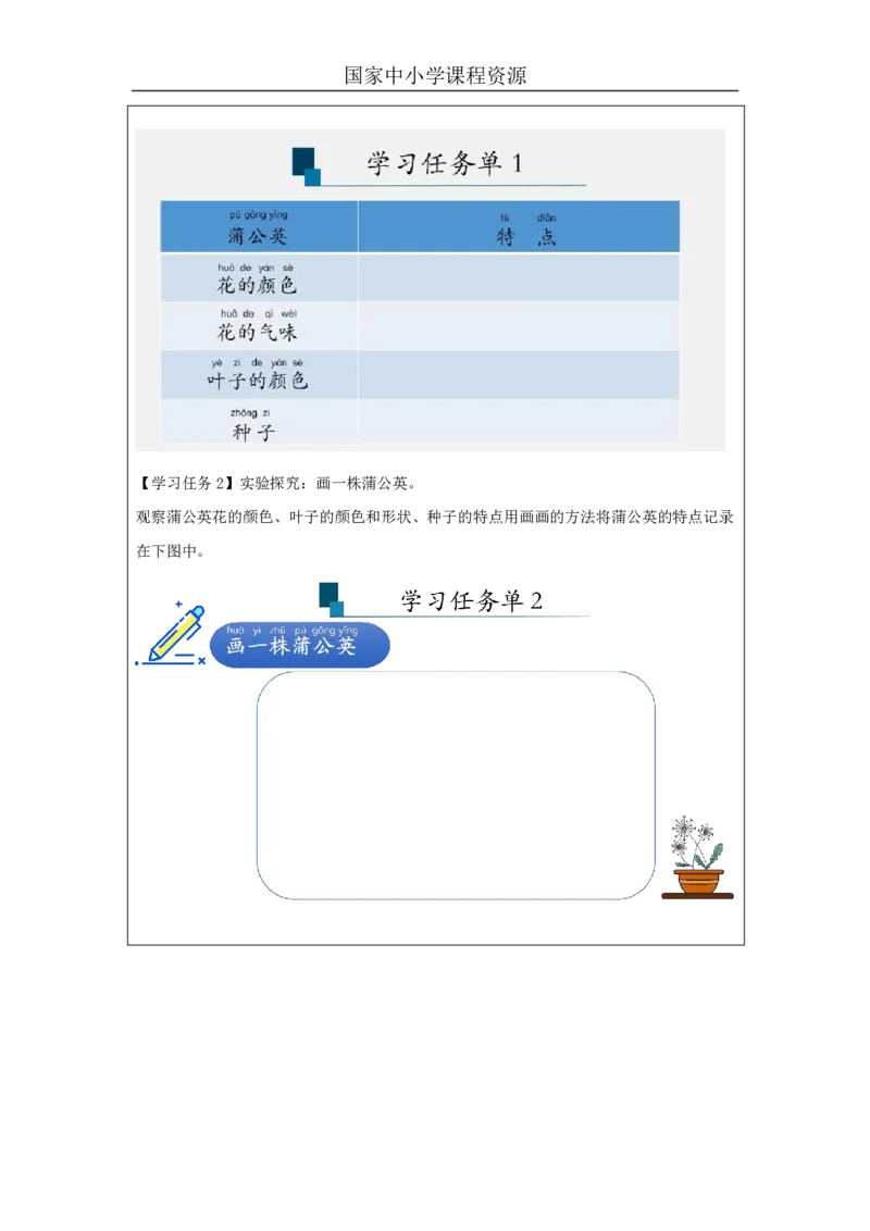 66观察蒲公英_国家课_任务单_2_一年级上下册资料_小学一年级学习资料-25年更新版_1-09、小学一年级科学上册_冀人版