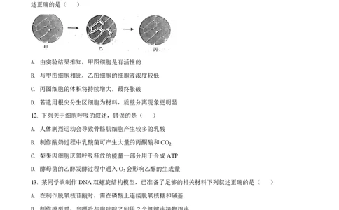 2022年高考生物试卷（浙江）（6月）（空白卷）_生物历年高考真题_新&middot;PDF版2008-2025&middot;高考生物真题_生物（按试卷类型分类）2008-2025_自主命题卷&middot;生物（2008-2025）