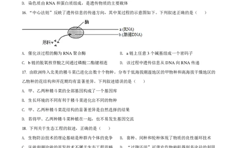 2022年高考生物试卷（浙江）（6月）（空白卷）_生物历年高考真题_新&middot;PDF版2008-2025&middot;高考生物真题_生物（按试卷类型分类）2008-2025_自主命题卷&middot;生物（2008-2025）