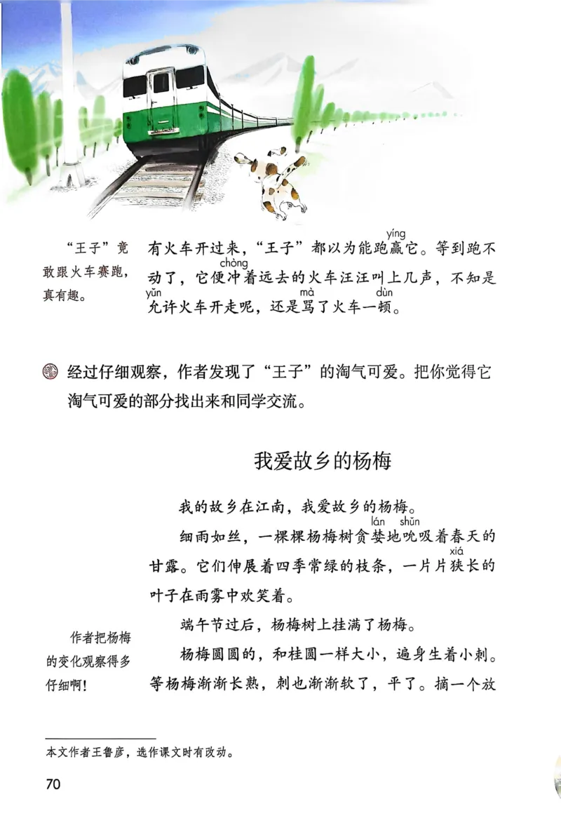 语文三年级上册（2025秋）_小学全网线上同款资料_2025秋新增教材合集_小学语文