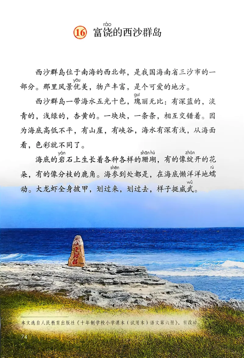 语文三年级上册（2025秋）_小学全网线上同款资料_2025秋新增教材合集_小学语文