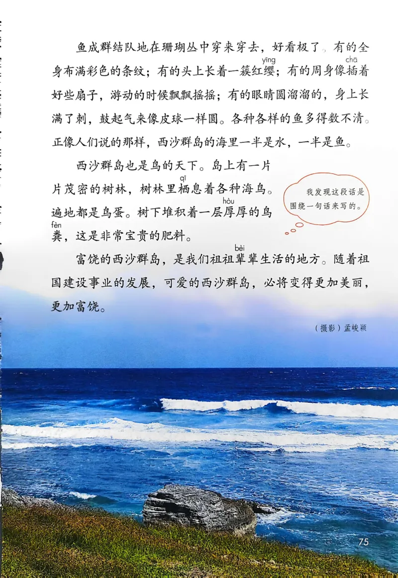 语文三年级上册（2025秋）_小学全网线上同款资料_2025秋新增教材合集_小学语文