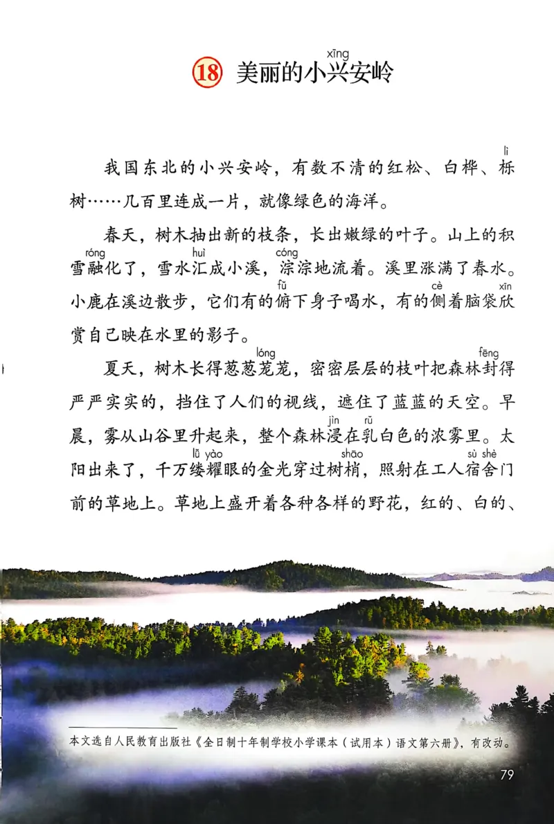 语文三年级上册（2025秋）_小学全网线上同款资料_2025秋新增教材合集_小学语文