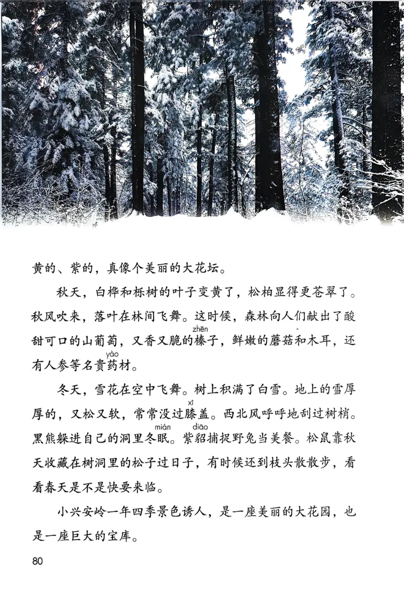 语文三年级上册（2025秋）_小学全网线上同款资料_2025秋新增教材合集_小学语文