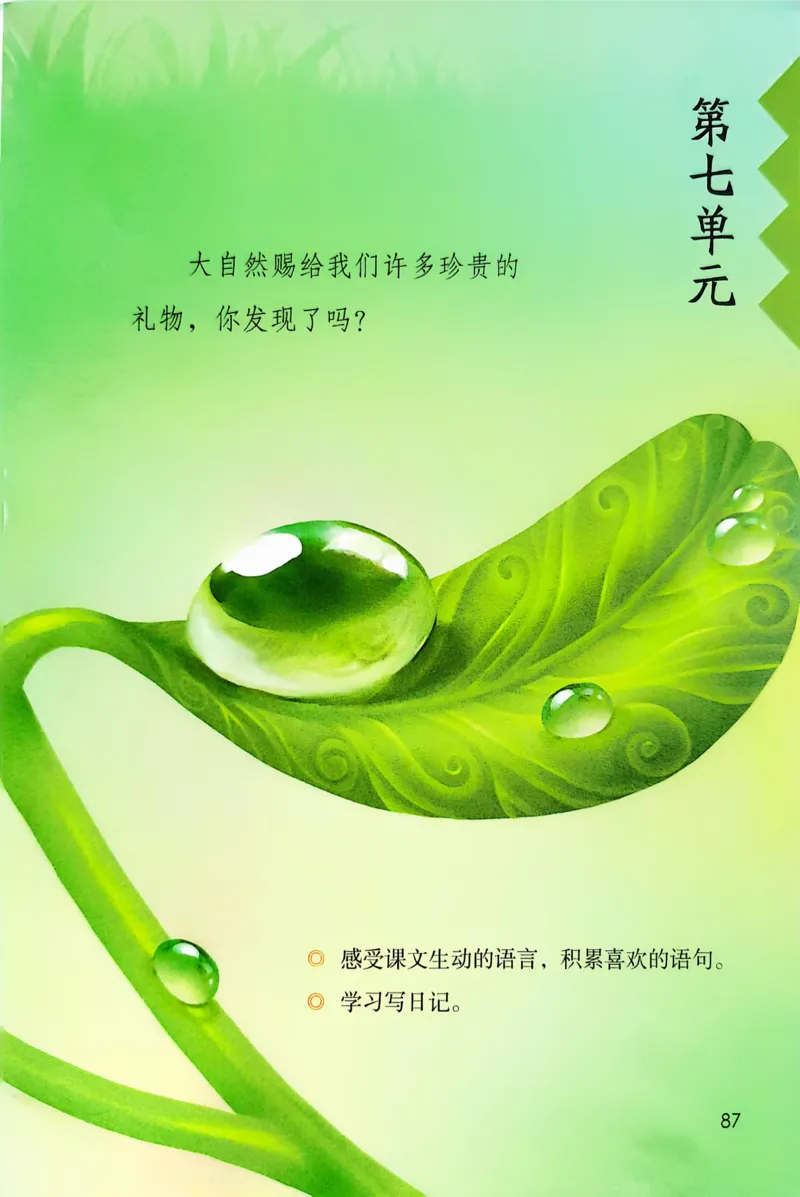 语文三年级上册（2025秋）_小学全网线上同款资料_2025秋新增教材合集_小学语文