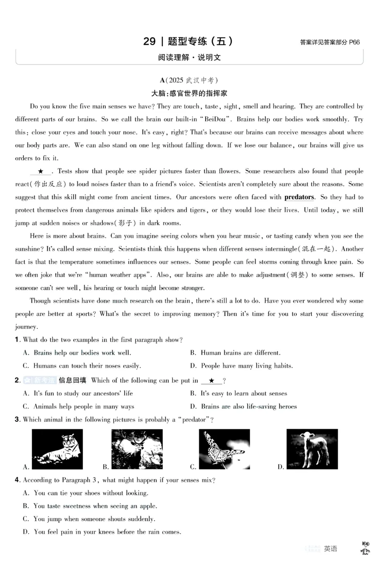 2026《中考英语45套》甘肃题型小卷答案_45套中招_2026《中考英语45套》甘肃