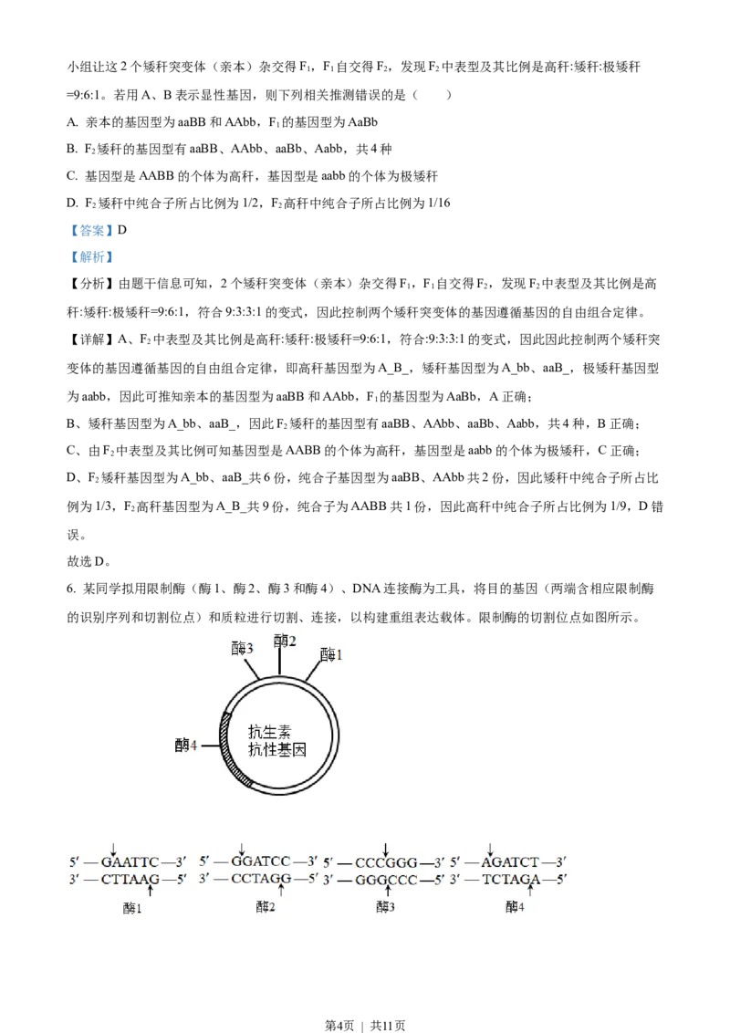 2023年高考生物试卷（新课标）（解析卷）_生物历年高考真题_新&middot;Word版2008-2025&middot;高考生物真题_生物（按年份分类）2008-2025_2023&middot;高考生物真题