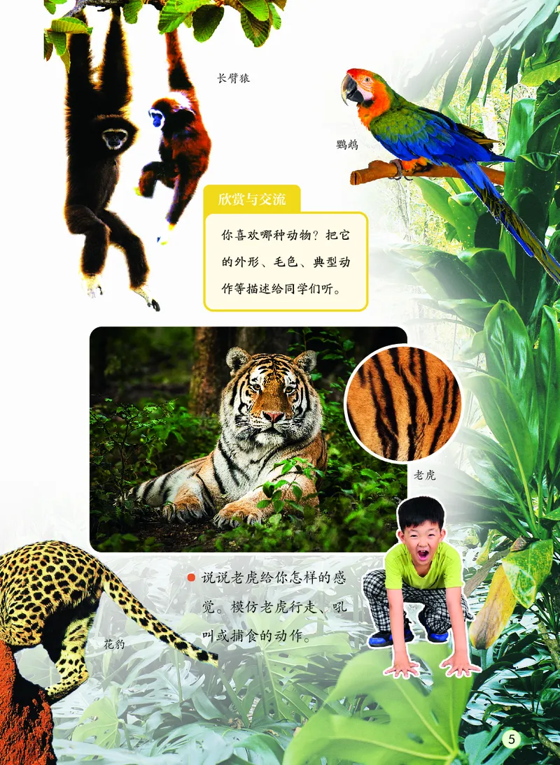 美术一下冀教版（2025春）_小学全网线上同款资料_2025春新增教材合集_小学美术（2025春新教材）