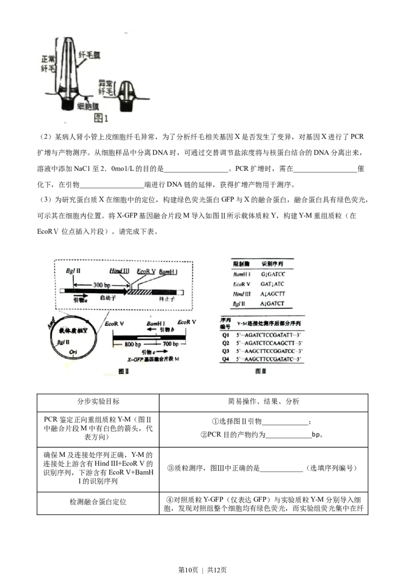 2022年高考生物试卷（江苏）（空白卷）_生物历年高考真题_新&middot;Word版2008-2025&middot;高考生物真题_生物（按省份分类）2008-2025_2008-2025&middot;（江苏）生物高考真题