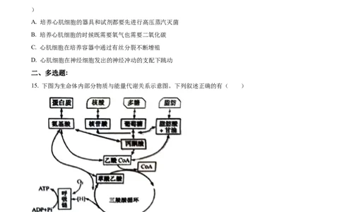 2022年高考生物试卷（江苏）（空白卷）_生物历年高考真题_新&middot;Word版2008-2025&middot;高考生物真题_生物（按省份分类）2008-2025_2008-2025&middot;（江苏）生物高考真题
