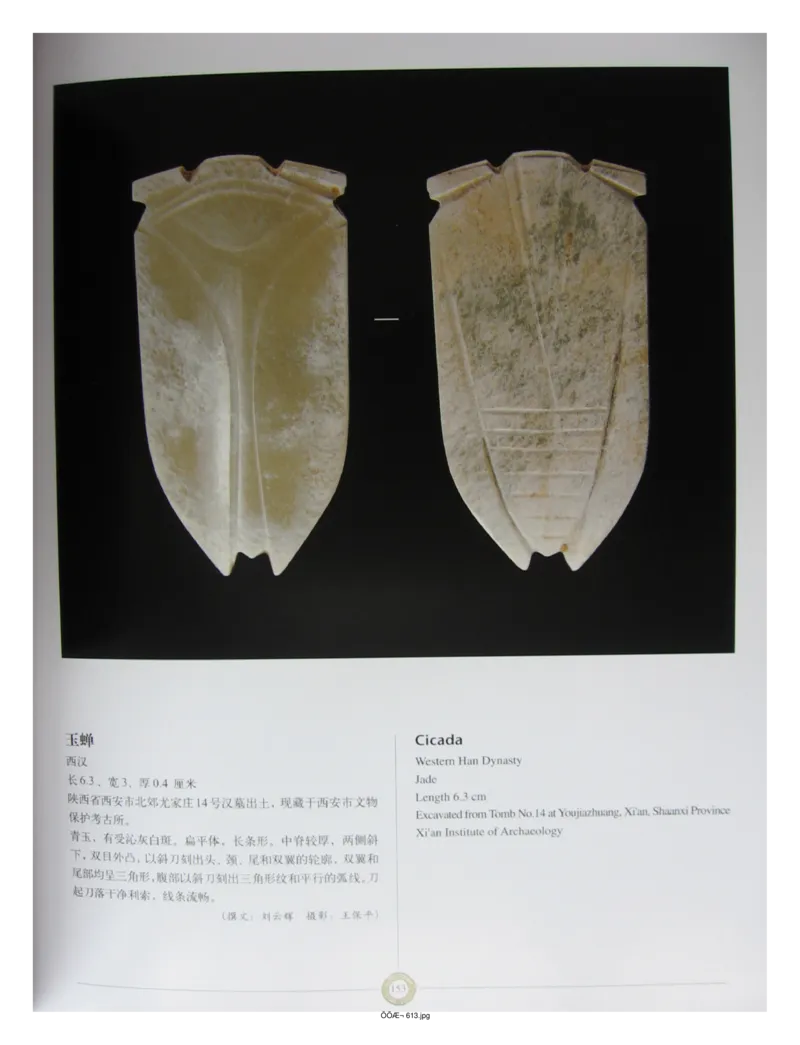 中国出土玉器全集(14)陕西_部分3_X018-玉石珠宝鉴定教程最新合集_5、玉石鉴定专题全套课程_玉石电子书_中国出土玉石全集