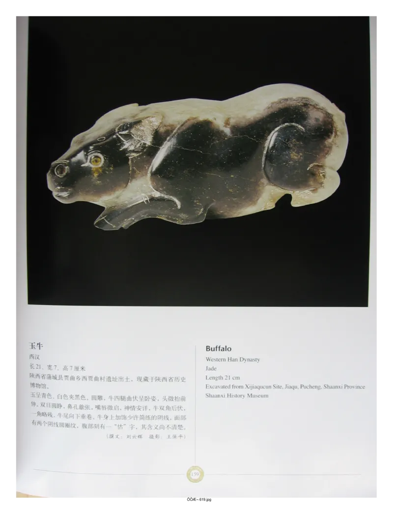 中国出土玉器全集(14)陕西_部分3_X018-玉石珠宝鉴定教程最新合集_5、玉石鉴定专题全套课程_玉石电子书_中国出土玉石全集