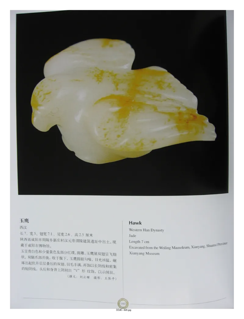 中国出土玉器全集(14)陕西_部分3_X018-玉石珠宝鉴定教程最新合集_5、玉石鉴定专题全套课程_玉石电子书_中国出土玉石全集