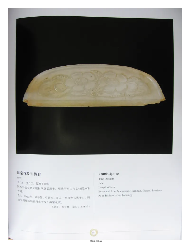 中国出土玉器全集(14)陕西_部分3_X018-玉石珠宝鉴定教程最新合集_5、玉石鉴定专题全套课程_玉石电子书_中国出土玉石全集