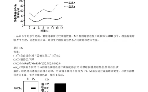 2023年高考生物试卷（河北）（答案）_26.河北-高考真题_2015-2025（河北）生物高考真题