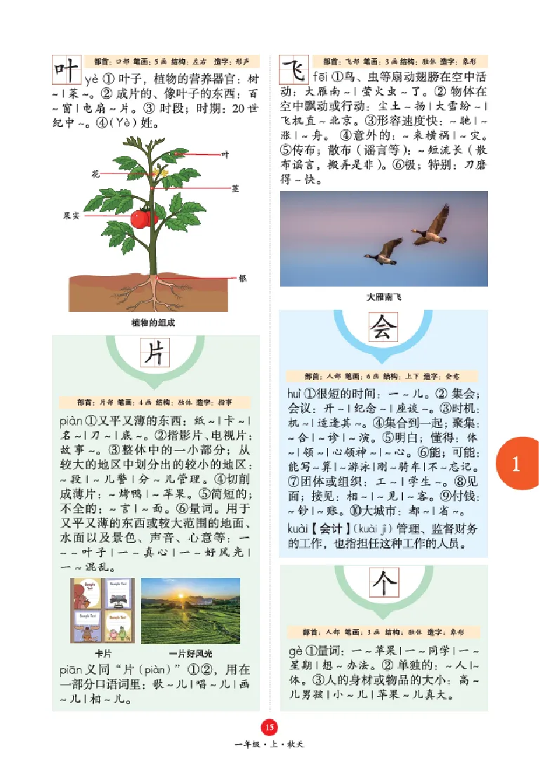 字词句手册-六三版_一年级语文上册（统编版）_老课标资料_教学视频_第一套_010-绘本课堂PDF可下载打印