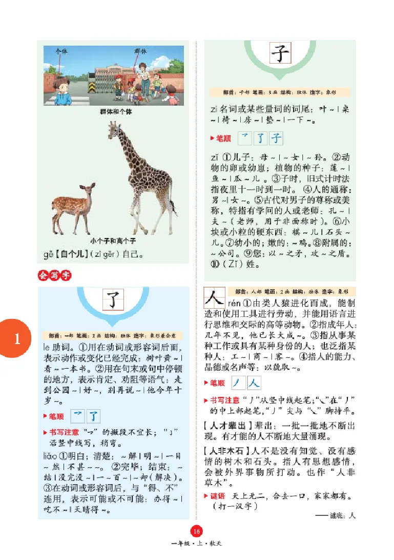 字词句手册-六三版_一年级语文上册（统编版）_老课标资料_教学视频_第一套_010-绘本课堂PDF可下载打印