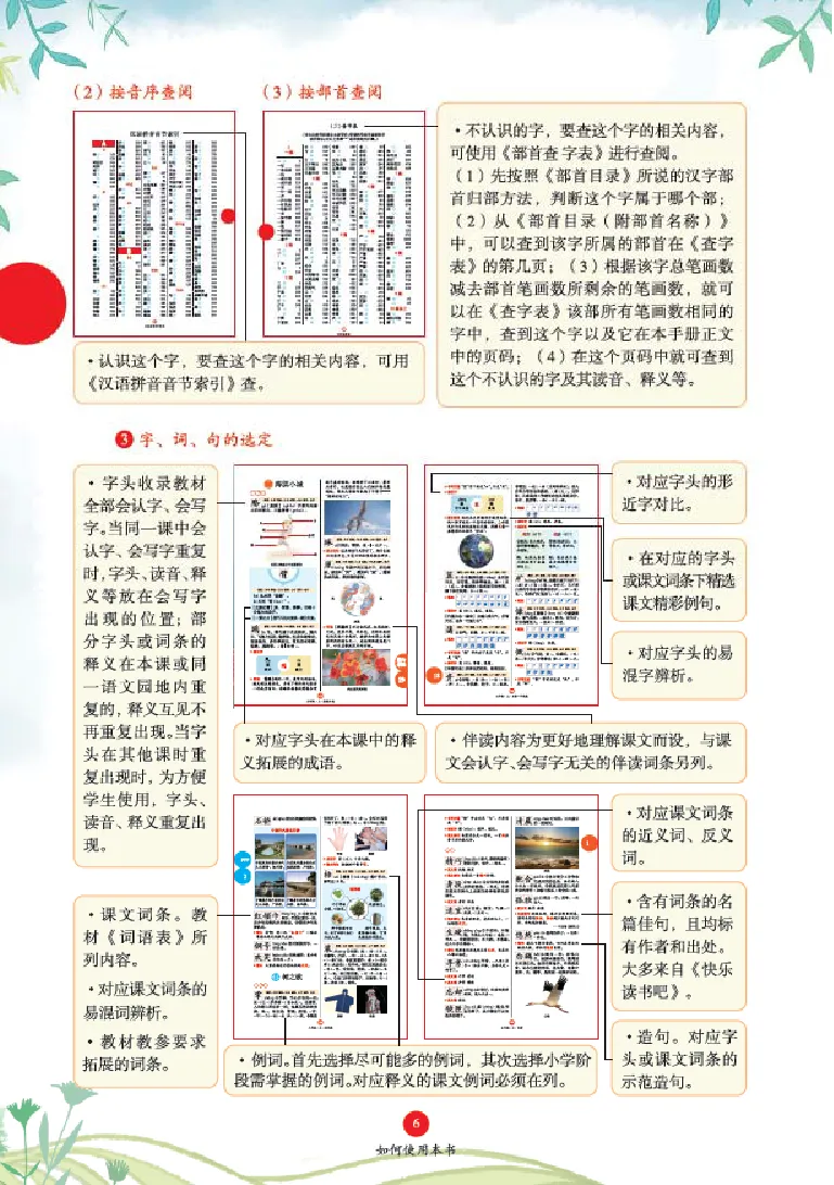 字词句手册-六三版_一年级语文上册（统编版）_老课标资料_教学视频_第一套_010-绘本课堂PDF可下载打印