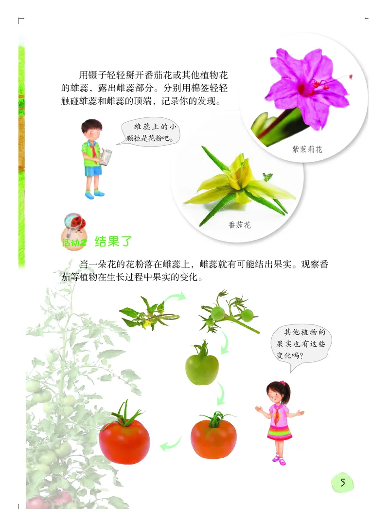 粤教版4年级科学上册高清教材_全部版本&bull;小学科学电子课本_粤教版小学科学电子课本