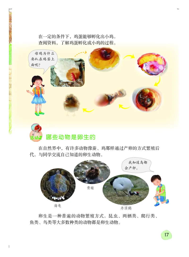 粤教版4年级科学上册高清教材_全部版本&bull;小学科学电子课本_粤教版小学科学电子课本