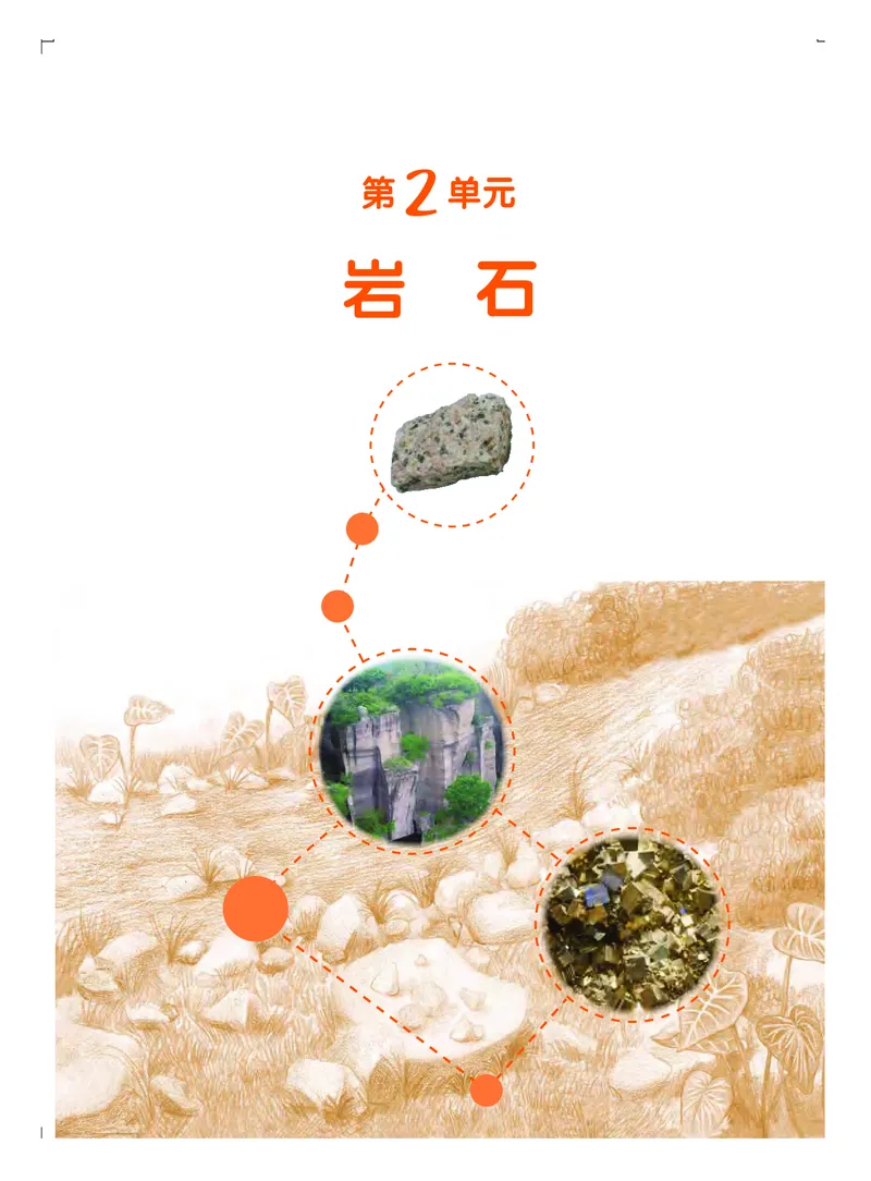 粤教版4年级科学上册高清教材_全部版本&bull;小学科学电子课本_粤教版小学科学电子课本