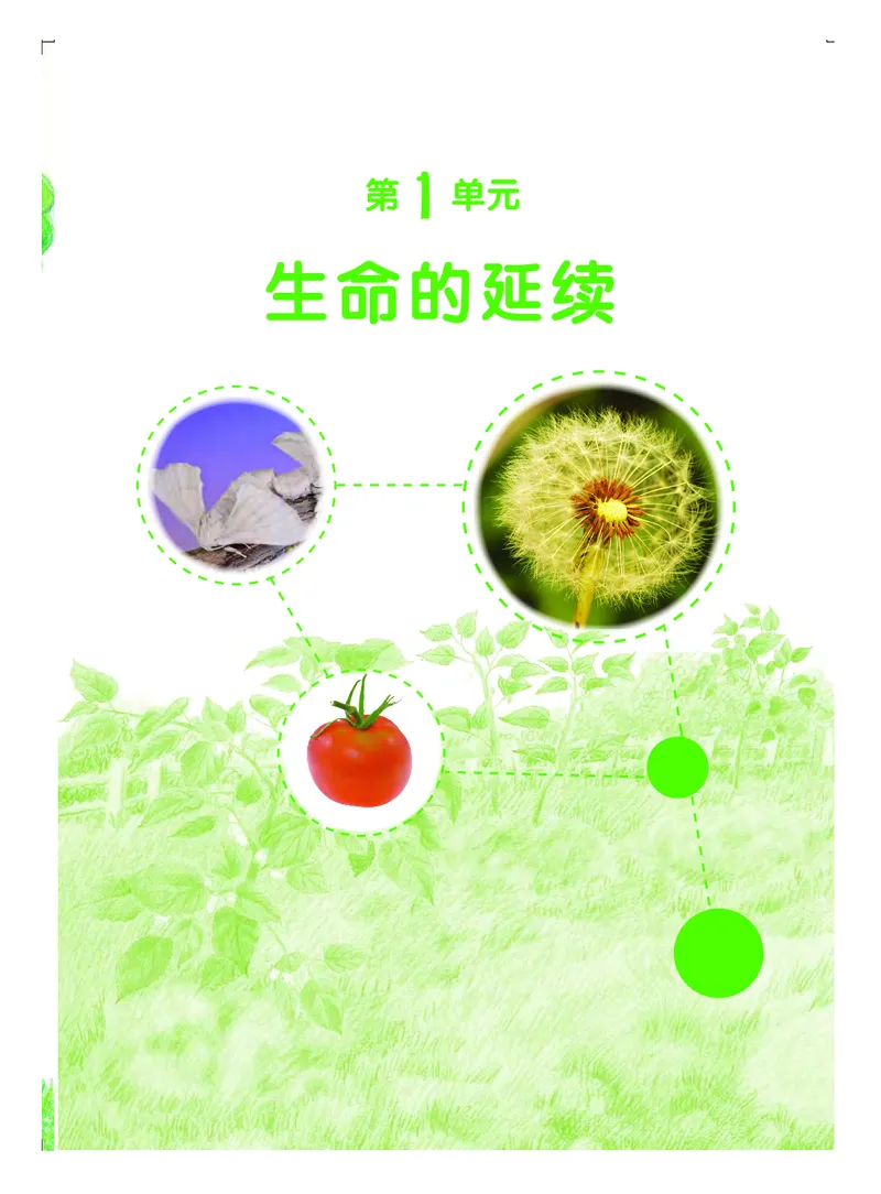 粤教版4年级科学上册高清教材_全部版本&bull;小学科学电子课本_粤教版小学科学电子课本