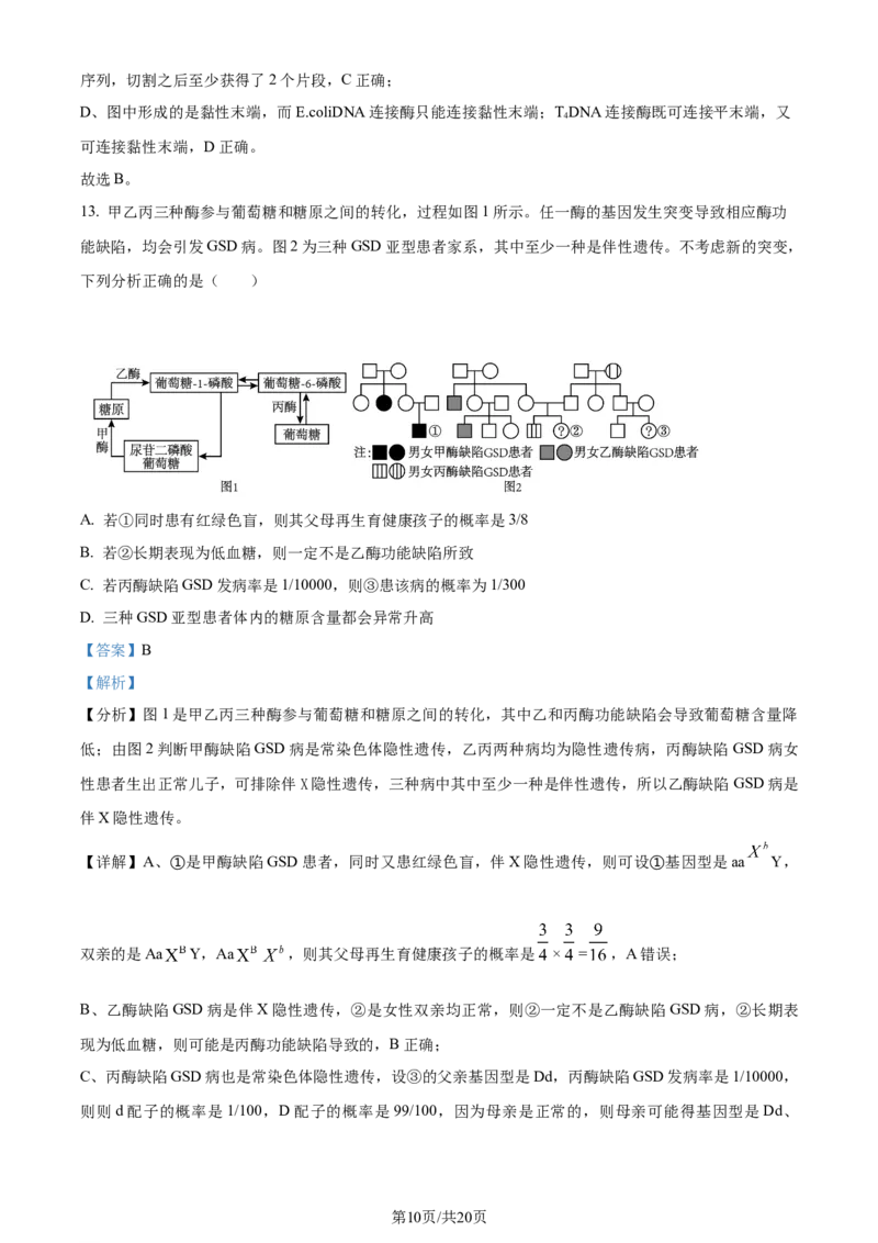 2023年高考生物试卷（重庆）（解析卷）_生物历年高考真题_新&middot;Word版2008-2025&middot;高考生物真题_生物（按年份分类）2008-2025_2023&middot;高考生物真题