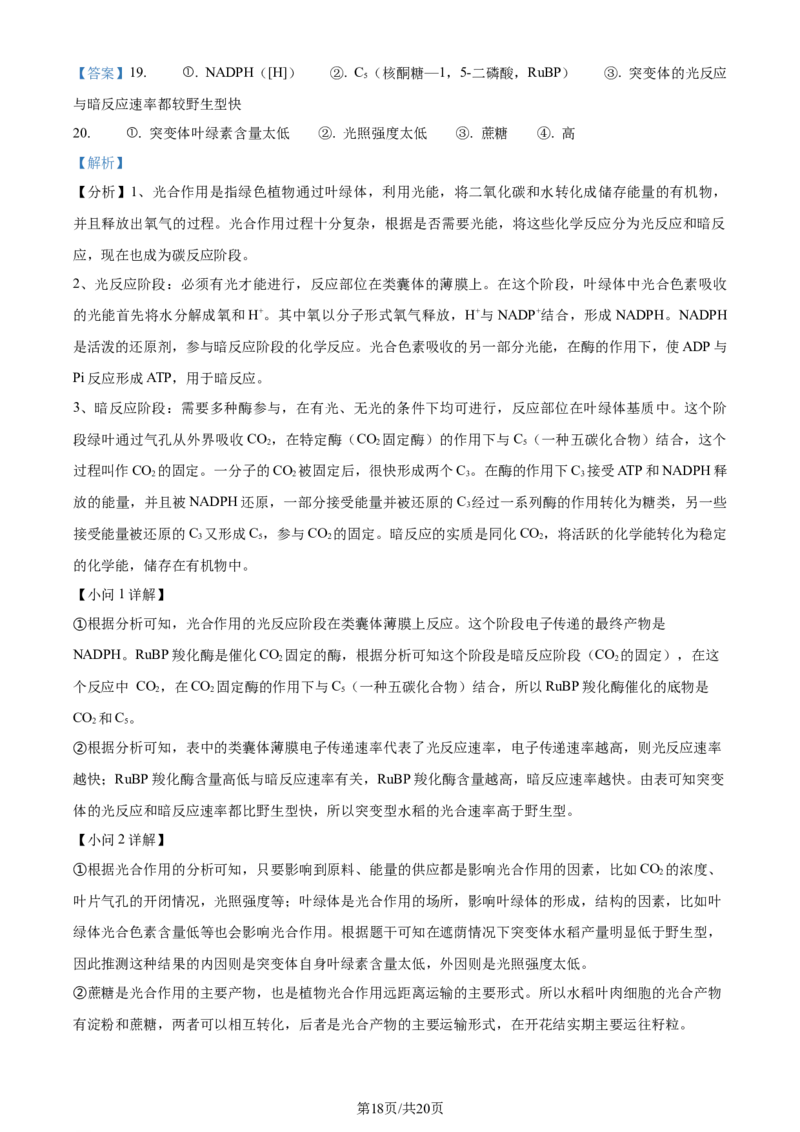 2023年高考生物试卷（重庆）（解析卷）_生物历年高考真题_新&middot;Word版2008-2025&middot;高考生物真题_生物（按年份分类）2008-2025_2023&middot;高考生物真题
