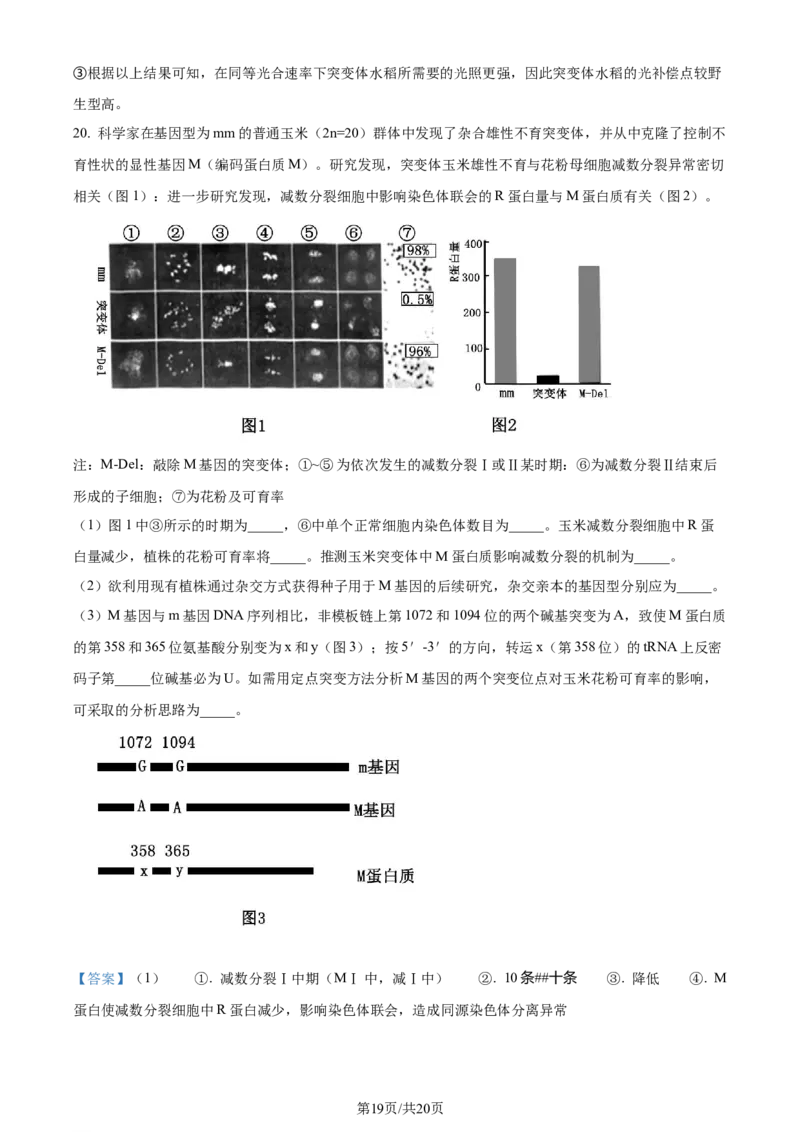 2023年高考生物试卷（重庆）（解析卷）_生物历年高考真题_新&middot;Word版2008-2025&middot;高考生物真题_生物（按年份分类）2008-2025_2023&middot;高考生物真题