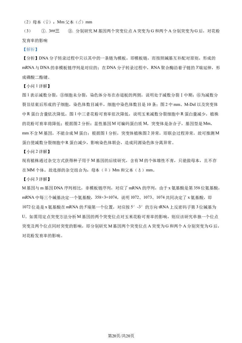 2023年高考生物试卷（重庆）（解析卷）_生物历年高考真题_新&middot;Word版2008-2025&middot;高考生物真题_生物（按年份分类）2008-2025_2023&middot;高考生物真题