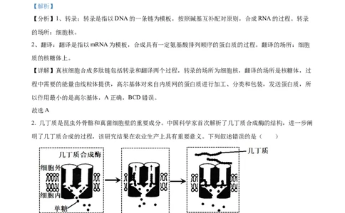 2023年高考生物试卷（重庆）（解析卷）_生物历年高考真题_新&middot;Word版2008-2025&middot;高考生物真题_生物（按年份分类）2008-2025_2023&middot;高考生物真题