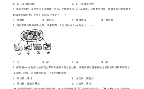 2022年高考生物试卷（广东）（空白卷）_生物历年高考真题_新&middot;Word版2008-2025&middot;高考生物真题_生物（按试卷类型分类）2008-2025_自主命题卷&middot;生物（2008-2025）
