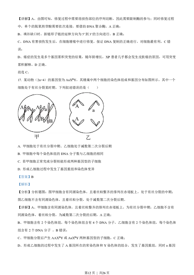 2023年高考生物试卷（浙江）6月（解析卷）_生物历年高考真题_新&middot;PDF版2008-2025&middot;高考生物真题_生物（按年份分类）2008-2025_2023&middot;高考生物真题