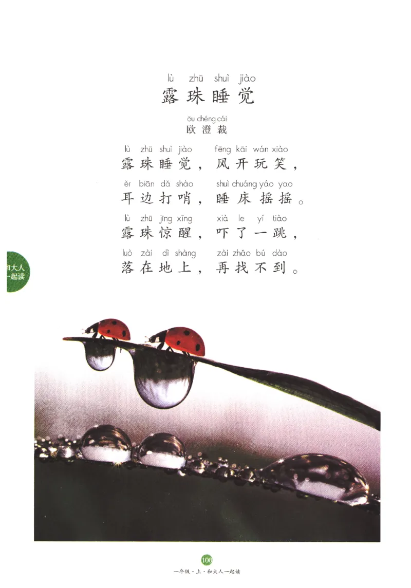 一年经上C2_一年级语文上册（统编版）_老课标资料_教学视频_第一套_010-绘本课堂PDF可下载打印