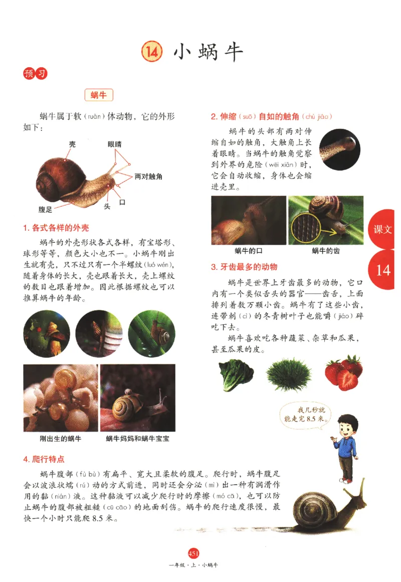 一年级上A2_一年级语文上册（统编版）_老课标资料_教学视频_第一套_010-绘本课堂PDF可下载打印