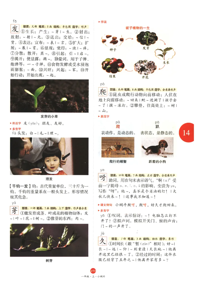 一年级上A2_一年级语文上册（统编版）_老课标资料_教学视频_第一套_010-绘本课堂PDF可下载打印