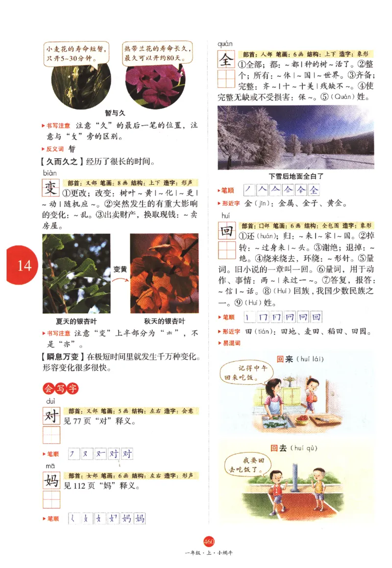 一年级上A2_一年级语文上册（统编版）_老课标资料_教学视频_第一套_010-绘本课堂PDF可下载打印