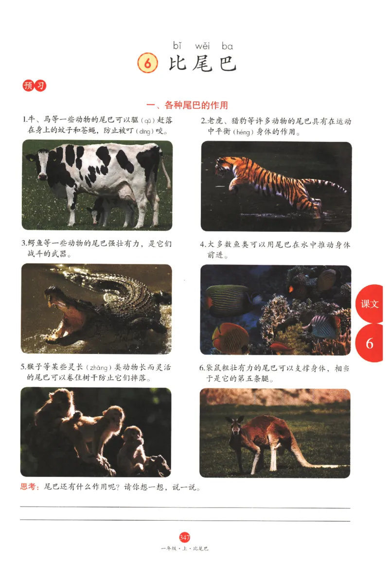 一年级上A2_一年级语文上册（统编版）_老课标资料_教学视频_第一套_010-绘本课堂PDF可下载打印