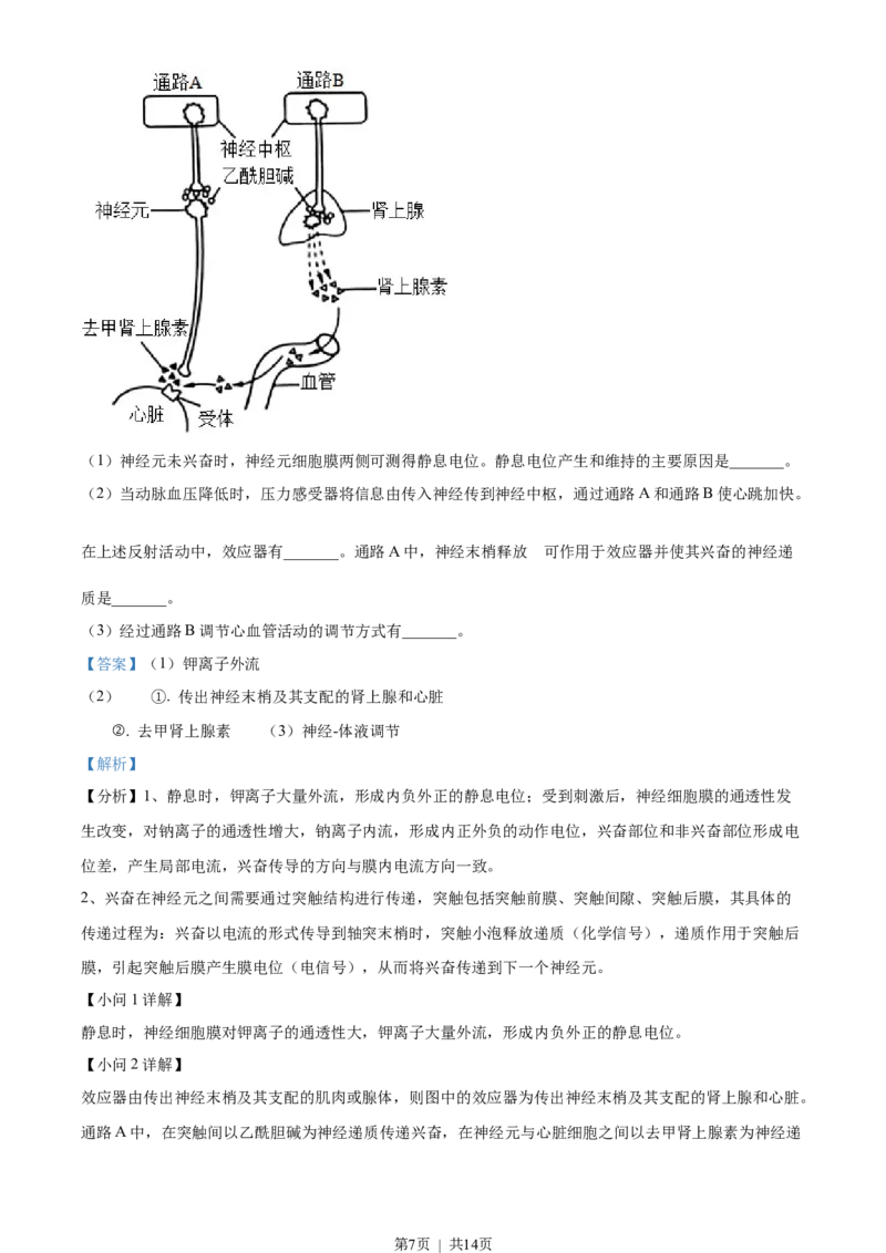 2023年高考生物试卷（全国乙卷）（解析卷）_生物历年高考真题_新&middot;Word版2008-2025&middot;高考生物真题_生物（按省份分类）2008-2025_2008-2025&middot;（河南）生物高考真题