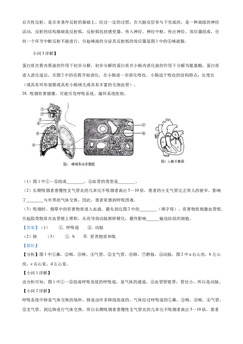 2024年福建省中考生物真题（解析卷）_福建中考1_6.福建中考生物（2017-2025）