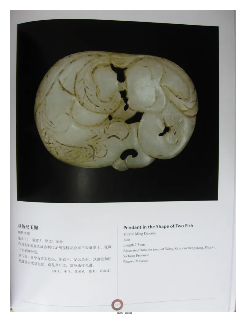 中国出土玉器全集(13)四川重庆_部分3_X018-玉石珠宝鉴定教程最新合集_5、玉石鉴定专题全套课程_玉石电子书_中国出土玉石全集