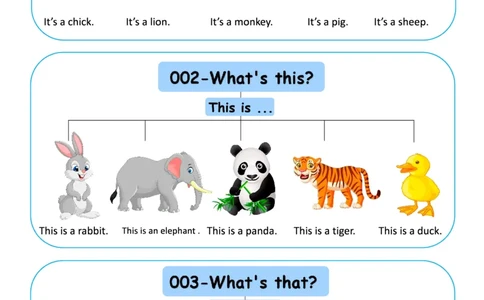 SUSAN升级版开口神器_一年级上下册资料_小学一年级学习资料-25年更新版_1-00、幼小衔接_幼小衔接英语启蒙篇