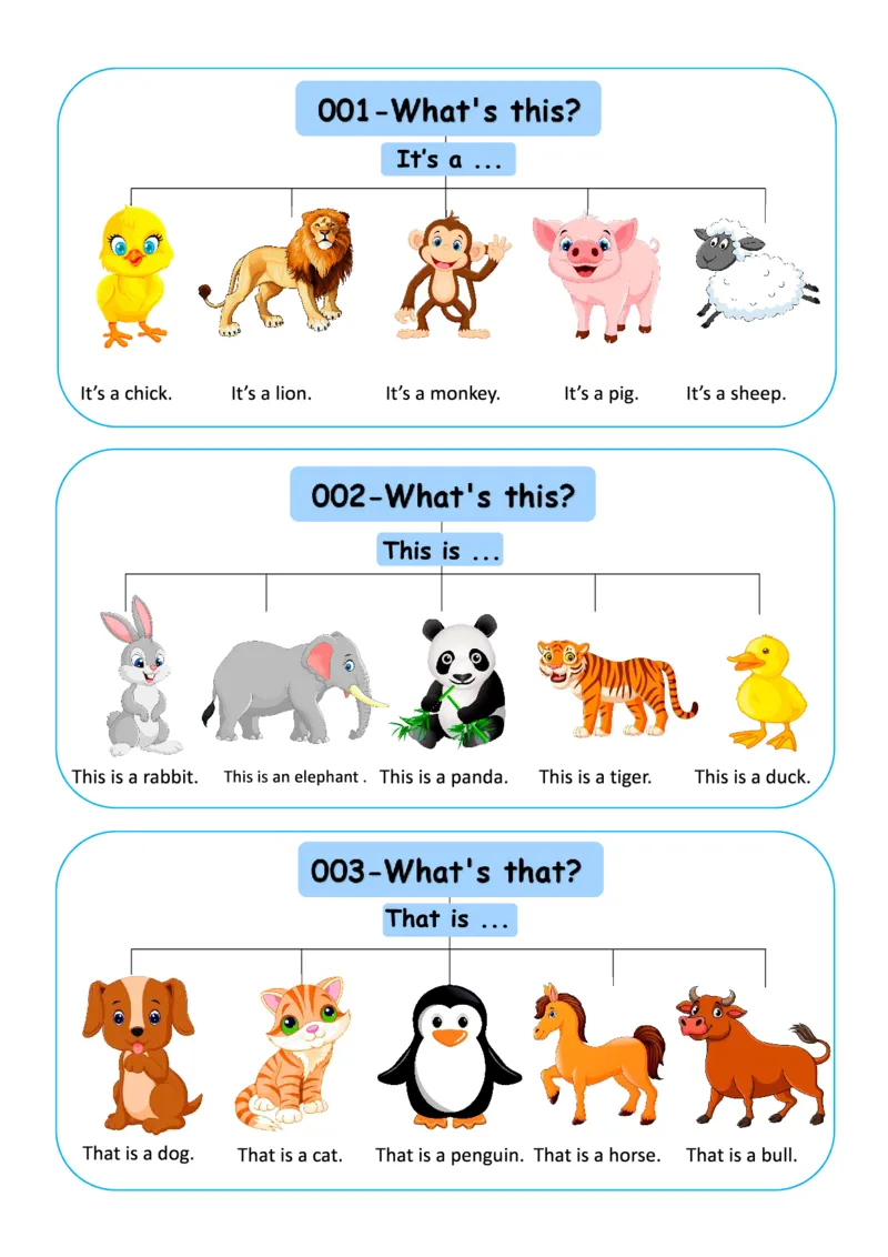 SUSAN升级版开口神器_一年级上下册资料_小学一年级学习资料-25年更新版_1-00、幼小衔接_幼小衔接英语启蒙篇