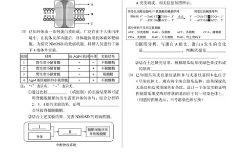2023年高考生物试卷（福建）（空白卷）_生物历年高考真题_新&middot;Word版2008-2025&middot;高考生物真题_生物（按年份分类）2008-2025_2023&middot;高考生物真题