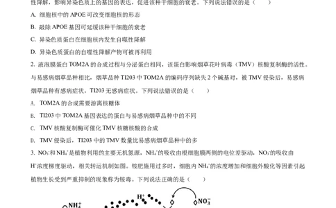 2022年高考生物试卷（山东）（空白卷）_生物历年高考真题_新&middot;Word版2008-2025&middot;高考生物真题_生物（按试卷类型分类）2008-2025_自主命题卷&middot;生物（2008-2025）