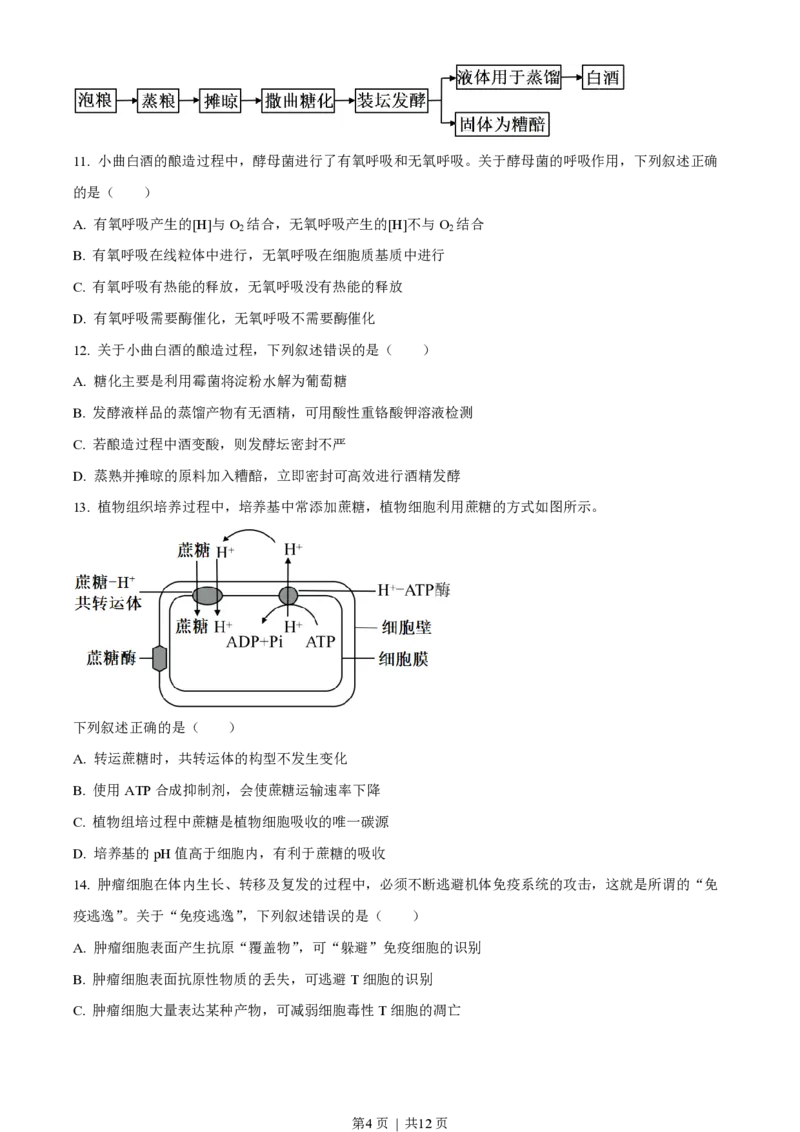 2023年高考生物试卷（浙江）（6月）（空白卷）_生物历年高考真题_新&middot;PDF版2008-2025&middot;高考生物真题_生物（按省份分类）2008-2025_2008-2025&middot;（浙江）生物高考真题
